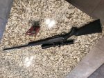 Tikka 1.jpg