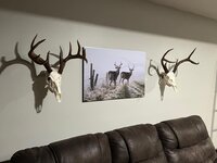 digital-taxidermy-reviews.jpg digital-taxidermy-reviews.jpg
