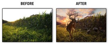 before-after-digital-taxidermy.JPG before-after-digital-taxidermy.JPG
