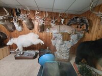 20230107_181913.jpg