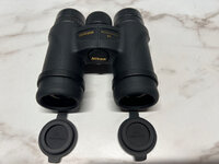 IMG_1992.jpeg