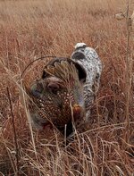 20221124_185322.jpg