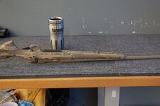 DSC_0042.jpg