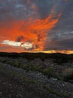 IMG_1611.jpg