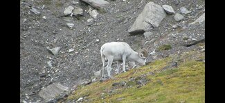 IMG_7378.jpeg IMG_7378.jpeg