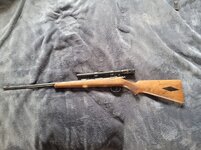 22 LR.jpg