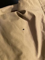 IMG_2312.jpeg