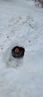 20230114_135303.jpg