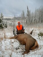 Snow elk 2009.JPG