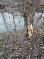 20230121_090733.jpg