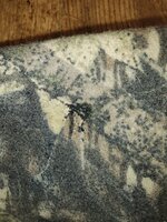 20230121_115954.jpg