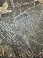 20230121_115942.jpg