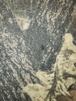20230121_115932.jpg