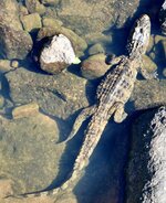 DSC_0129.JPG