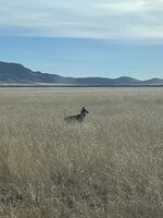 710A28FB-3649-4B0D-8EB8-229E9E692E01.jpeg