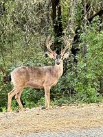 567E12A1-B818-4C99-A14F-571EA514C9C1.jpeg
