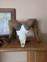 20230122_093706.jpg