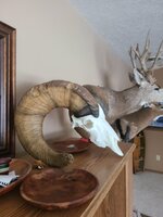 20230122_093658.jpg