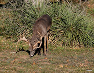 03-IMG_477022.JPG