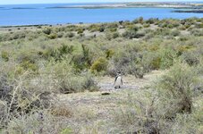 DSC_0173.JPG