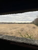 6F1061A5-8C06-47E3-BBFD-35D49AEEBC32.jpeg
