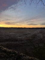 E0734F67-B39E-4F10-AF8E-66550D1FB1E2.jpeg