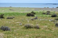 DSC_0264.JPG