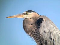IMG_3706.jpg
