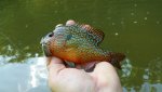 20180615_171622.jpg