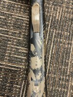 IMG_8344.jpeg