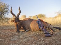 _7070141 (Large).JPG