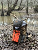 C5E098CD-F365-4DF1-BBF4-D469AB9B25D2.jpeg C5E098CD-F365-4DF1-BBF4-D469AB9B25D2.jpeg