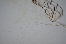 DSC_1031 2.JPG