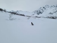 20230129_112457.jpg