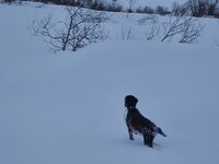 20230129_112503.jpg