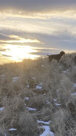 FE379EBA-C4E1-4EF3-B384-1685FF35659C.jpeg