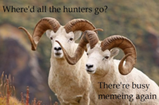 1675108363012.png