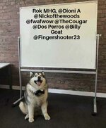 Whiteboard Husky 30012023221510.jpg