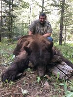 color black bear.jpg