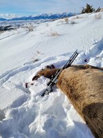 20230123_100410.jpg 20230123_100410.jpg