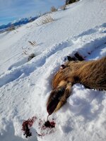 20230123_100416.jpg 20230123_100416.jpg