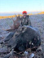 Moose lightened 2.jpg