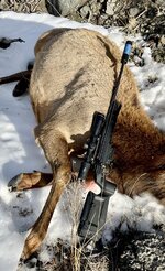 D798E196-59D3-485E-970F-C50112F3120A.jpeg D798E196-59D3-485E-970F-C50112F3120A.jpeg