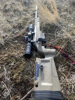 EBC09C21-E504-49E4-8712-84DF496CE98F.jpeg EBC09C21-E504-49E4-8712-84DF496CE98F.jpeg