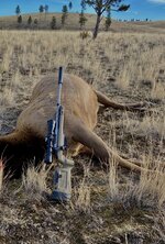 B6F45AB8-7685-404B-8322-64F4016308DF.jpeg B6F45AB8-7685-404B-8322-64F4016308DF.jpeg