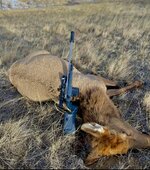 AF3FC1CA-3C9C-4966-BADF-4747576FB2EE.jpeg AF3FC1CA-3C9C-4966-BADF-4747576FB2EE.jpeg