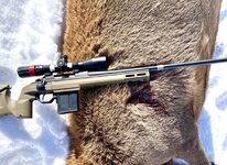 AD5F87FF-1007-4E6C-A702-8E07E23DA75E.jpeg AD5F87FF-1007-4E6C-A702-8E07E23DA75E.jpeg