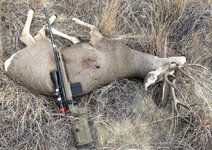 F21430BB-DB01-4B5D-90F4-F4833FD46F4C.jpeg F21430BB-DB01-4B5D-90F4-F4833FD46F4C.jpeg