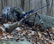 Field-1_800.jpg