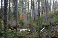 1-DSC_0077 - Copy.jpg